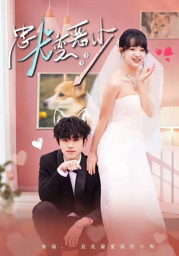 忠犬变恶少惊我家来福变恶少了封面图