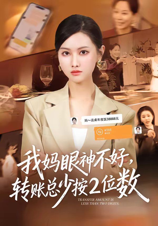 我妈眼神不好，转账总少按2位数海报