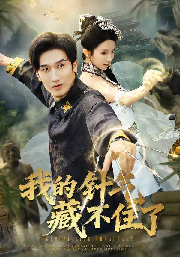 我的针气藏不住了封面图