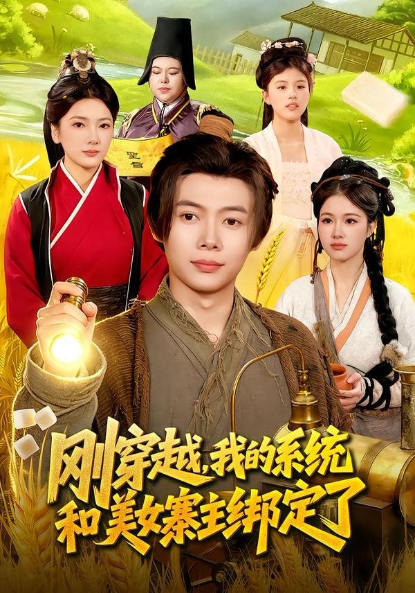 刚穿越我的系统和美女寨主绑定了封面图
