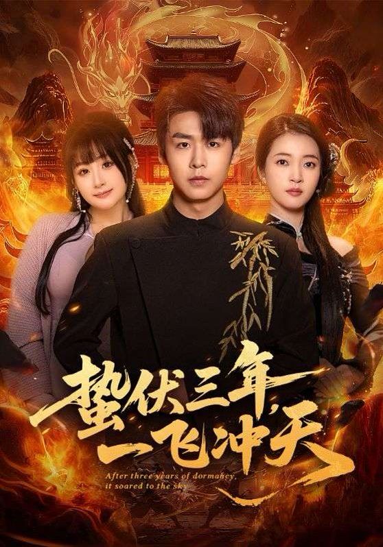 蛰伏三年一飞冲天封面图