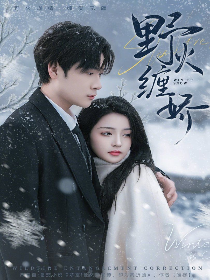 野火缠娇封面图