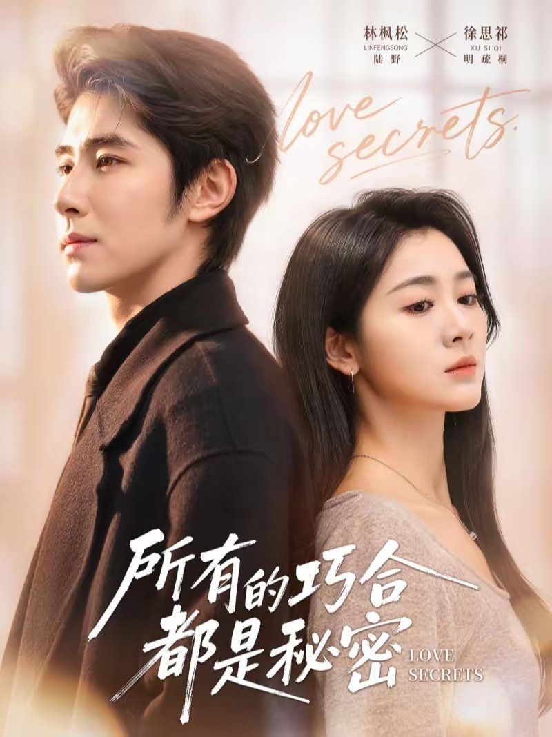 所有的巧合都是秘密（陆总夫人她只想离婚）封面图