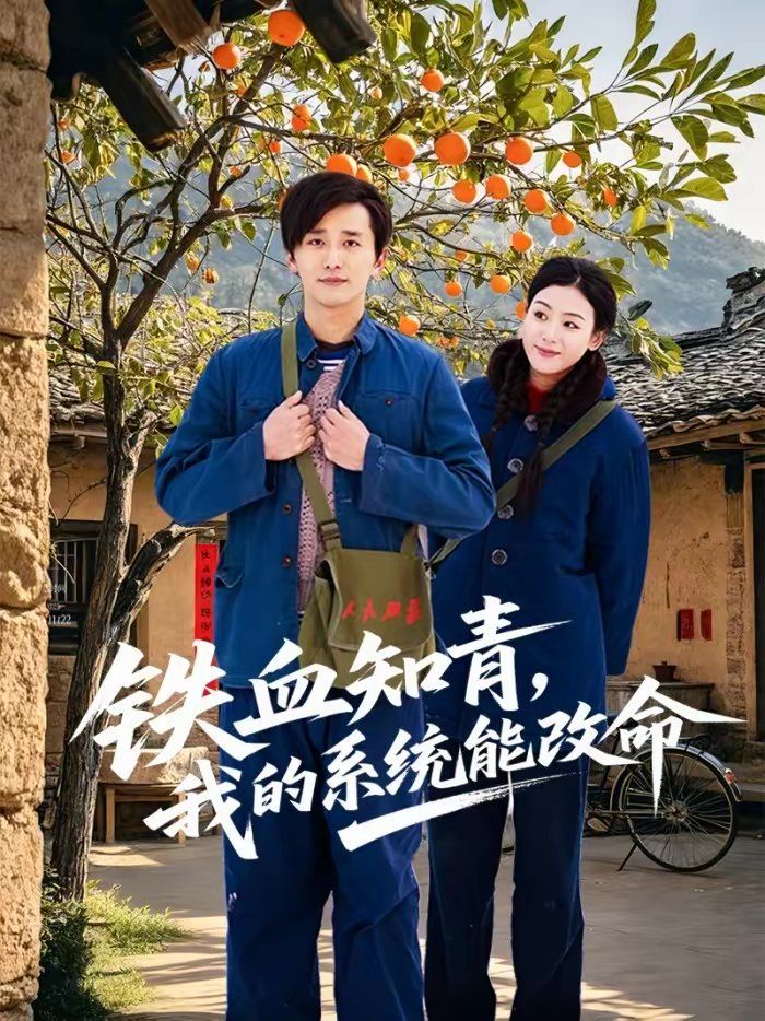 铁血知青我的系统能改命封面图