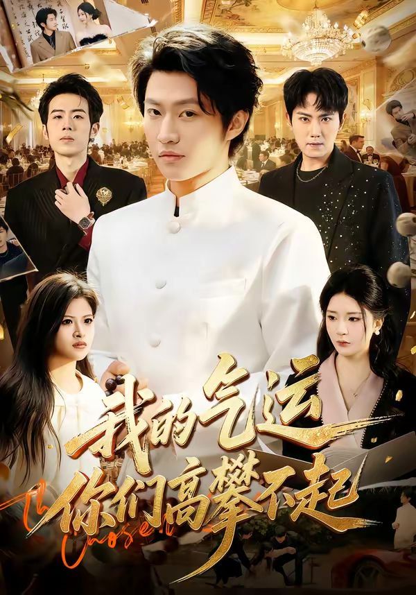 我的气运你们高攀不起封面图