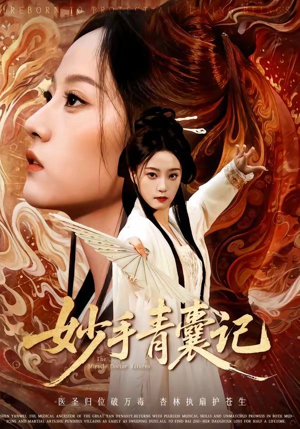 妙手青囊记海报