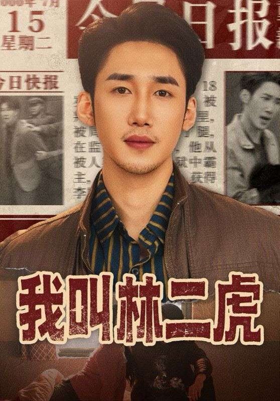 我叫林二虎海报