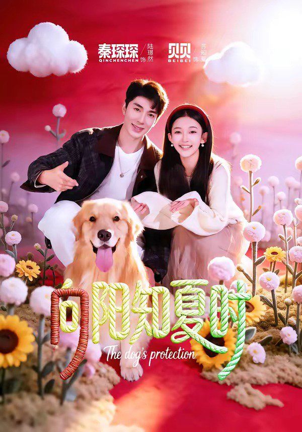 向阳知夏时封面图