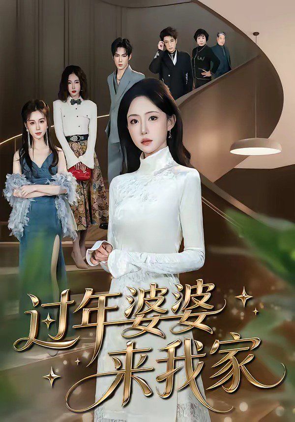 过年婆婆来我家海报