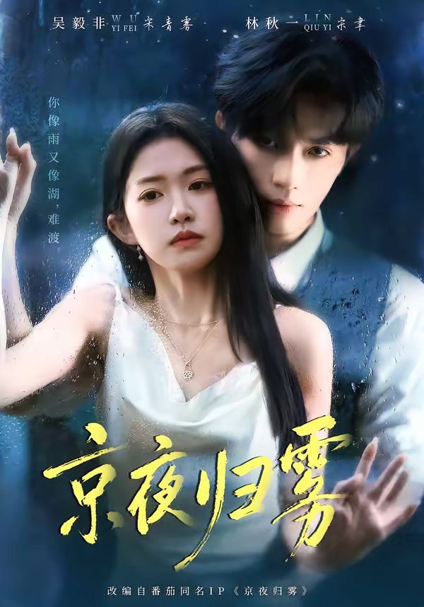 京夜归雾海报
