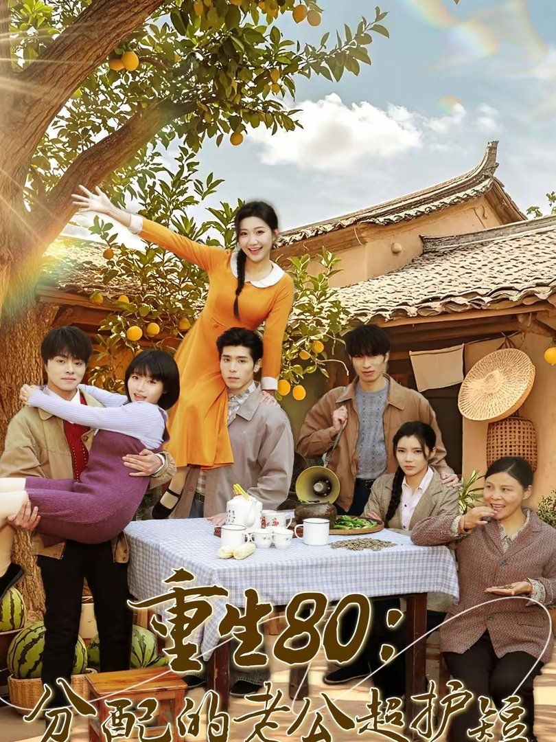 重生80:分配的老公超护短封面图