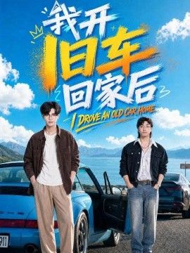 我开旧车回家后海报