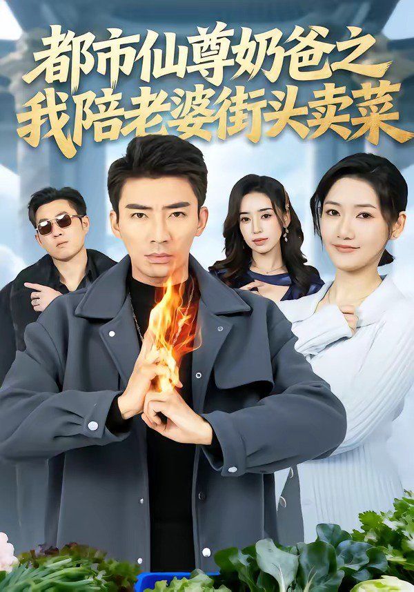 都市仙尊奶爸之我陪老婆街头卖菜海报