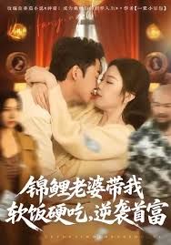 锦鲤老婆带我软饭硬吃，逆袭首富封面图