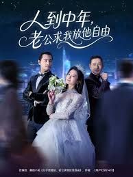 人到中年老公求我放他自由封面图