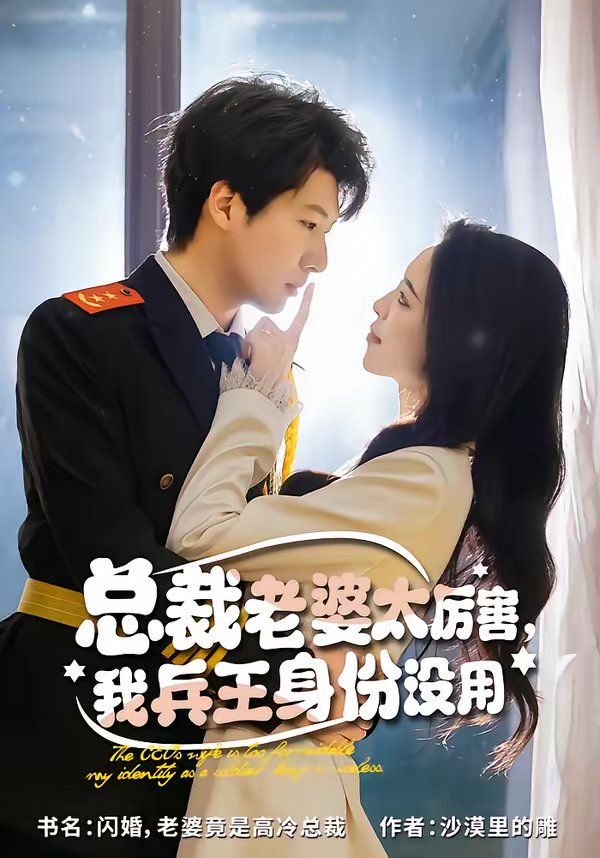 总裁老婆太厉害我兵王身份没用封面图