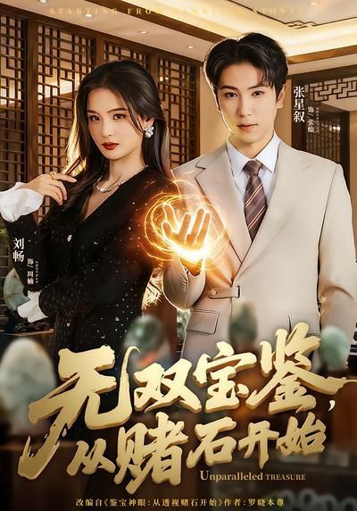 无双宝鉴，从赌石开始海报