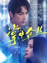 掌中金丝（长姐她竟是隐藏大佬）