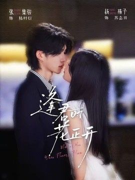 逢君时花正开海报