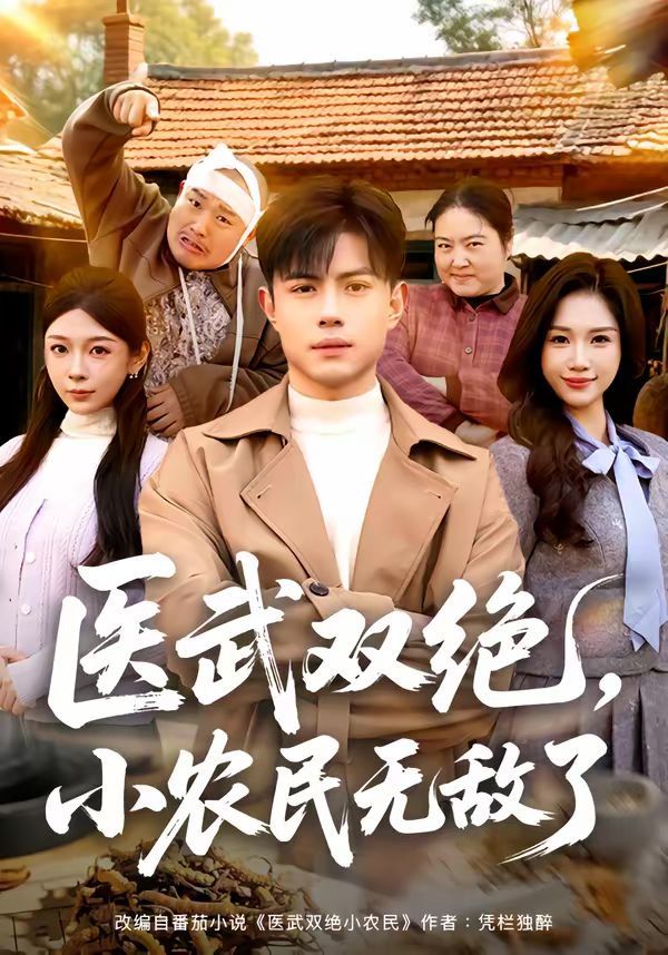 医武双绝，小农民无敌了海报