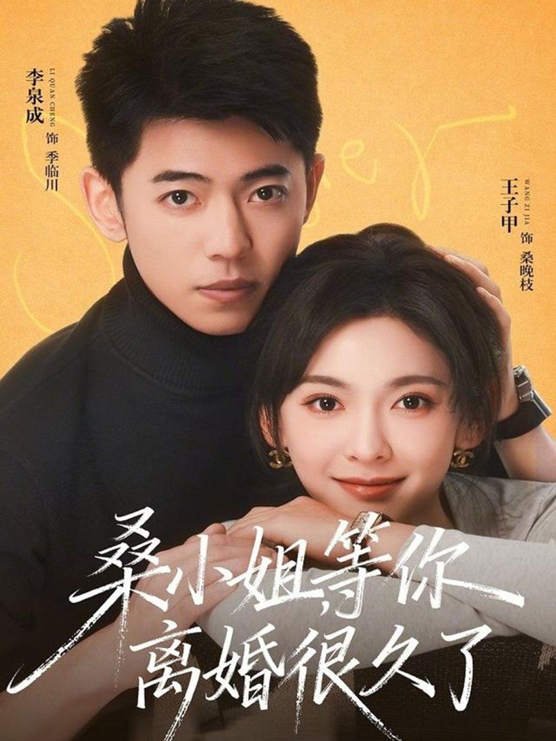 桑小姐，等你离婚很久了海报