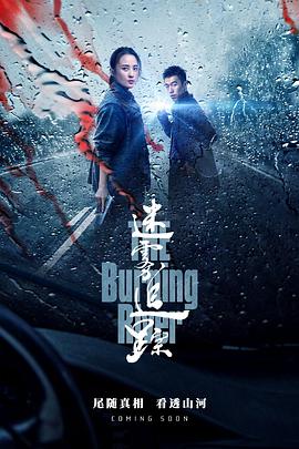 迷雾追踪 
