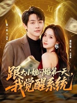 跟大小姐闪婚第一天我觉醒系统封面图