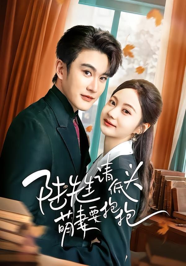 陆先生请低头萌妻要抱抱海报