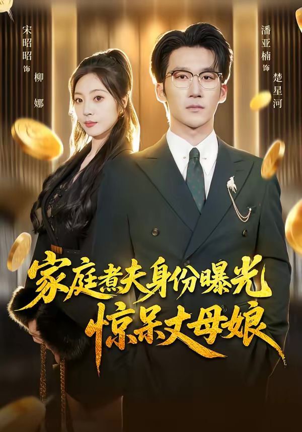 家庭煮夫身份曝光惊呆丈母娘海报