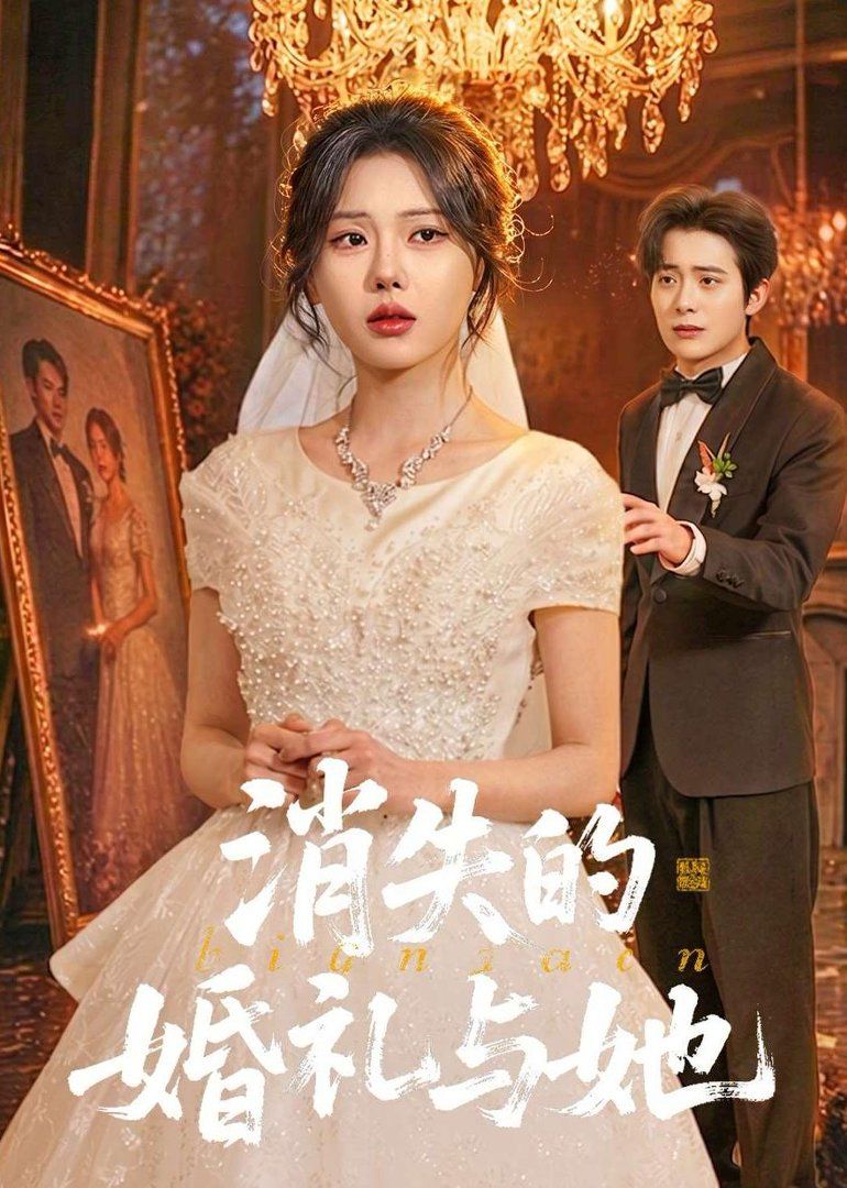 消失的婚礼与她海报