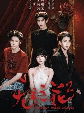 无主之花2
