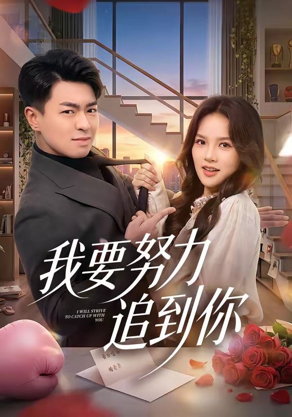 我要努力追到你海报