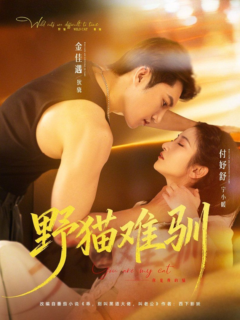 野猫难驯封面图