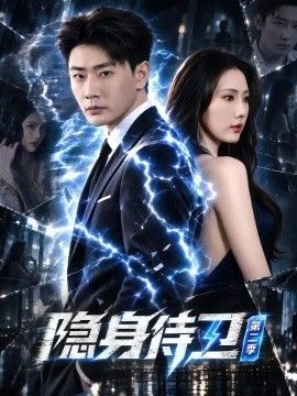 隐身侍卫第二季