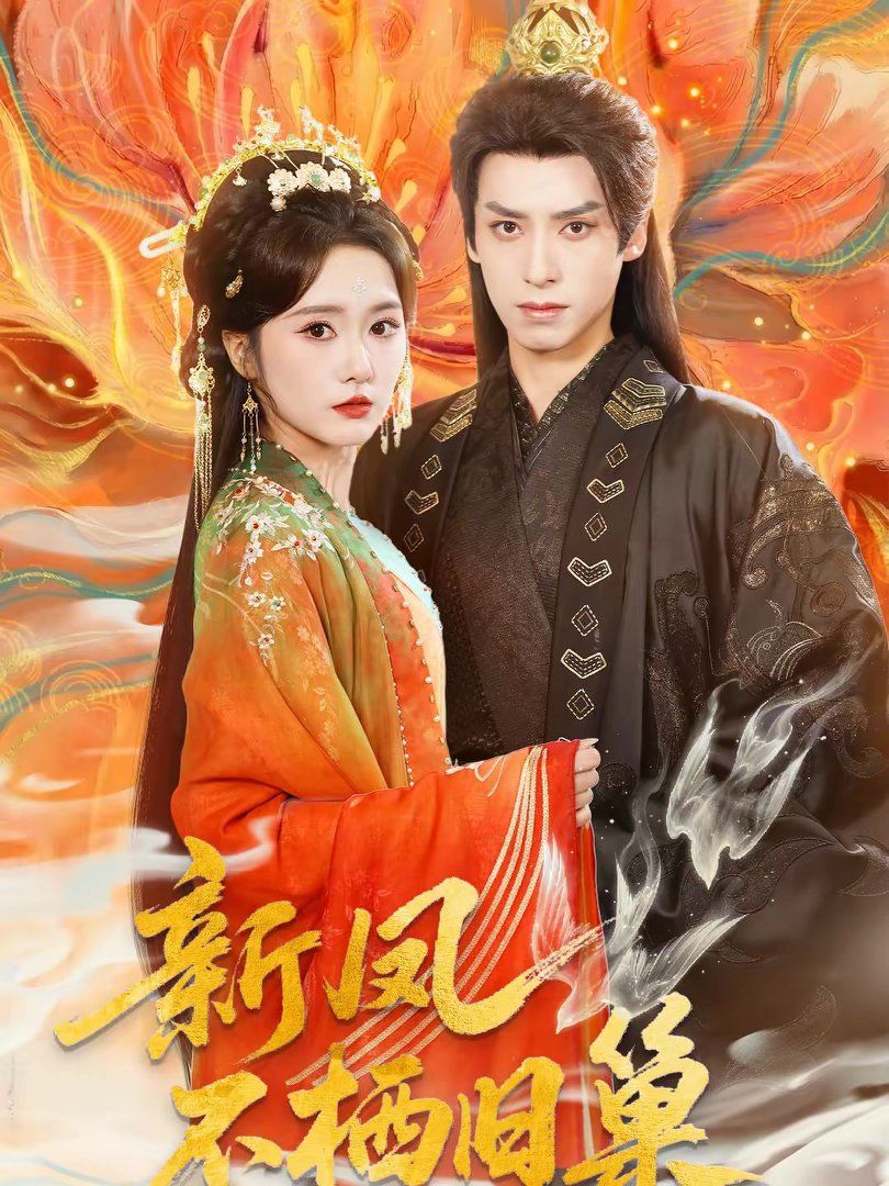 新凤不栖旧巢封面图