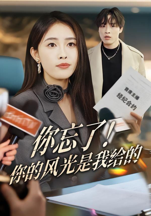 你忘了你的风光是我给的封面图