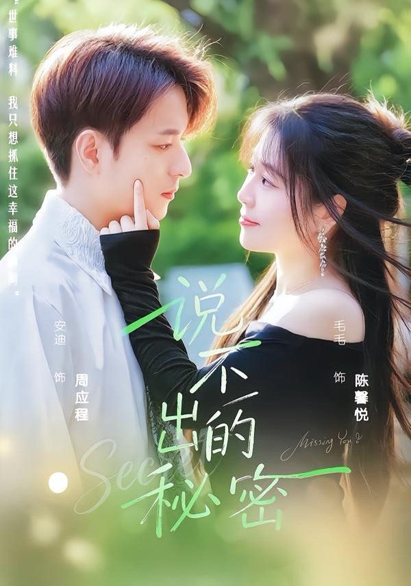 说不出的秘密海报