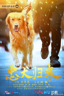 忠犬歸來(lái)