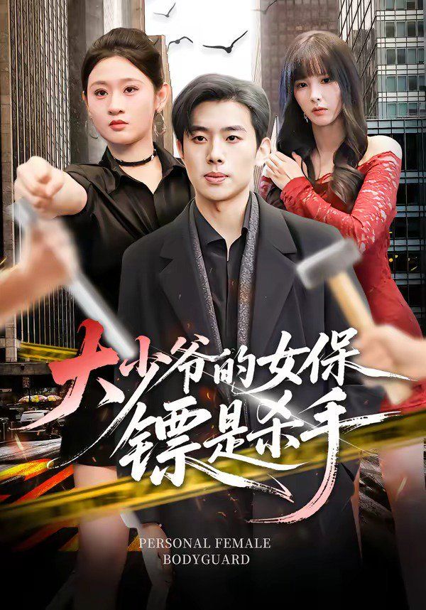 大少爷的女保镖是杀手海报