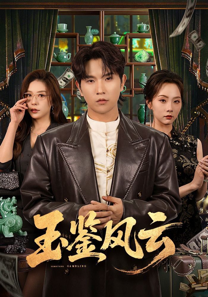 玉鉴风云封面图