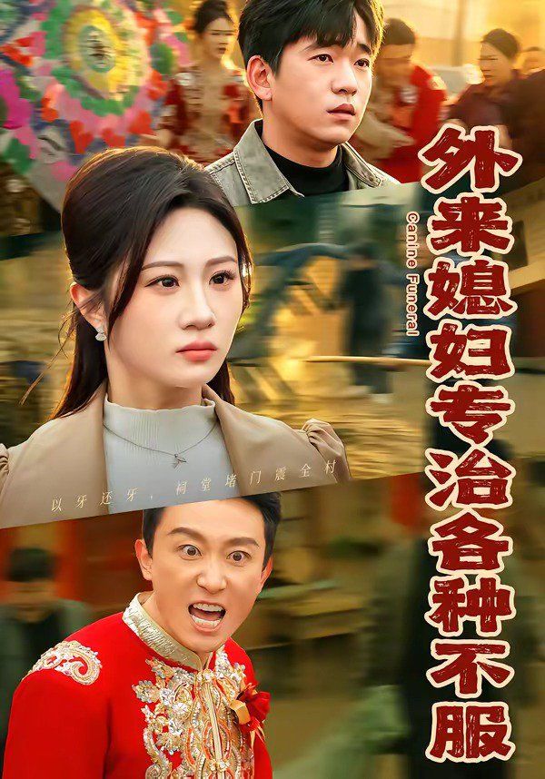 外来媳妇专治各种不服海报