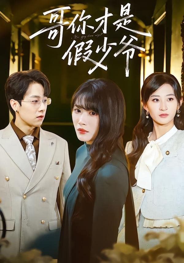 哥你才是假少爷海报