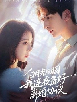 白月光回国我连夜备好离婚协议封面图