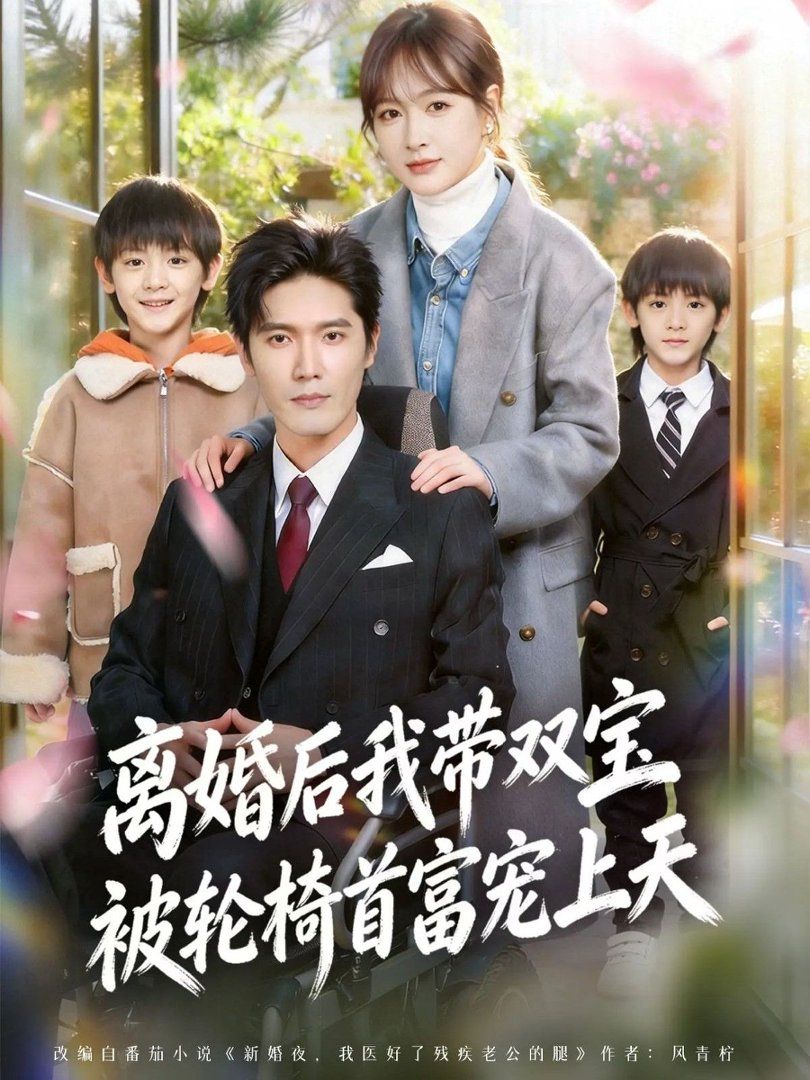 离婚后我带双宝被轮椅首富宠上天（离婚后，我被轮椅首富宠上天）海报