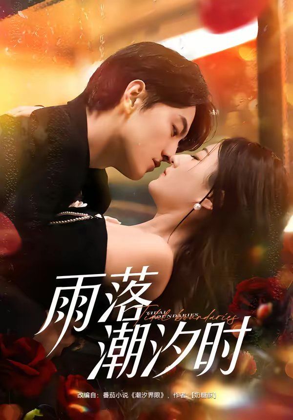 雨落潮汐时海报