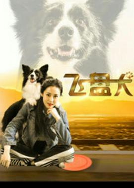 飞盘犬 (2020)_)犬(202飞盘0