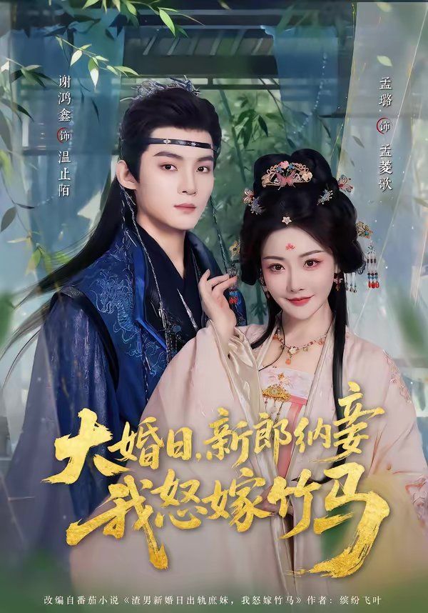 大婚日，新郎纳妾我怒嫁竹马海报