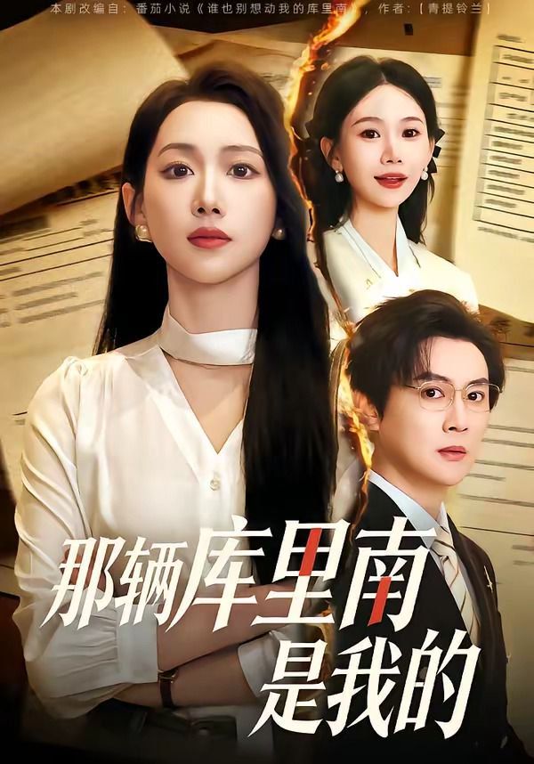 那辆库里南是我的海报