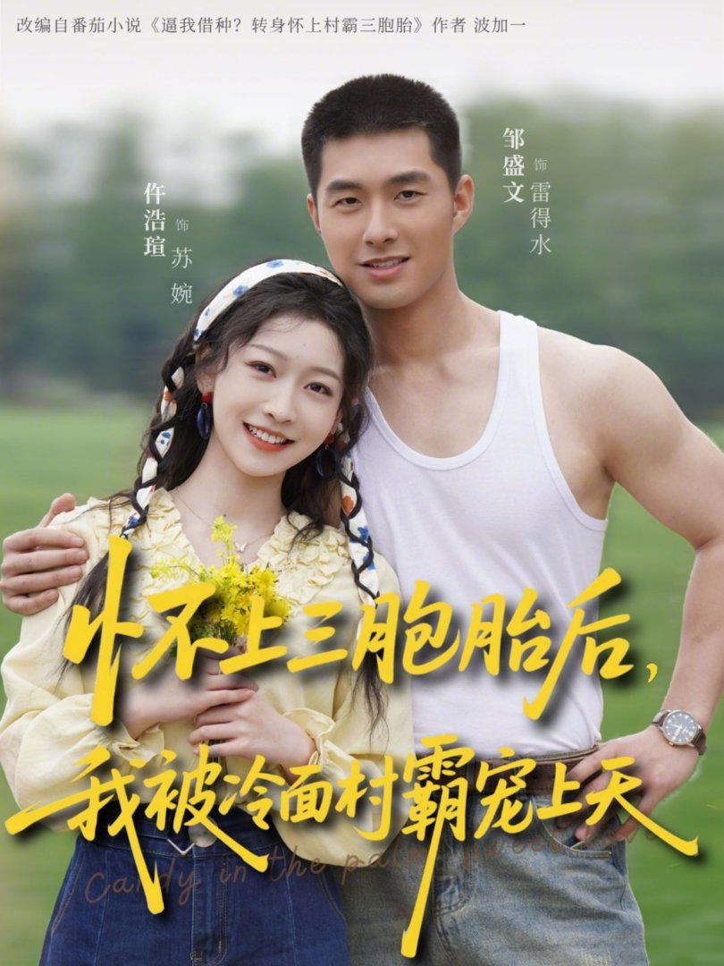 怀上三胞胎后，我被冷面村霸宠上天海报