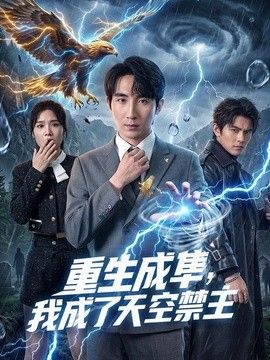 重生成隼，我成了天空禁主封面图